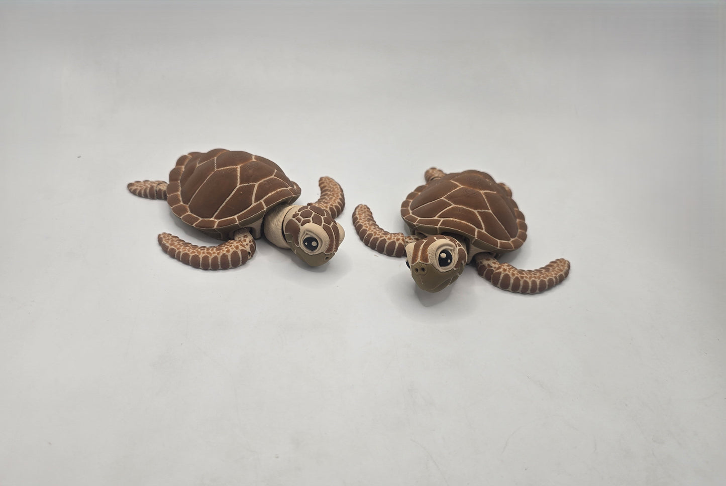 Turtle - No Hands 3d