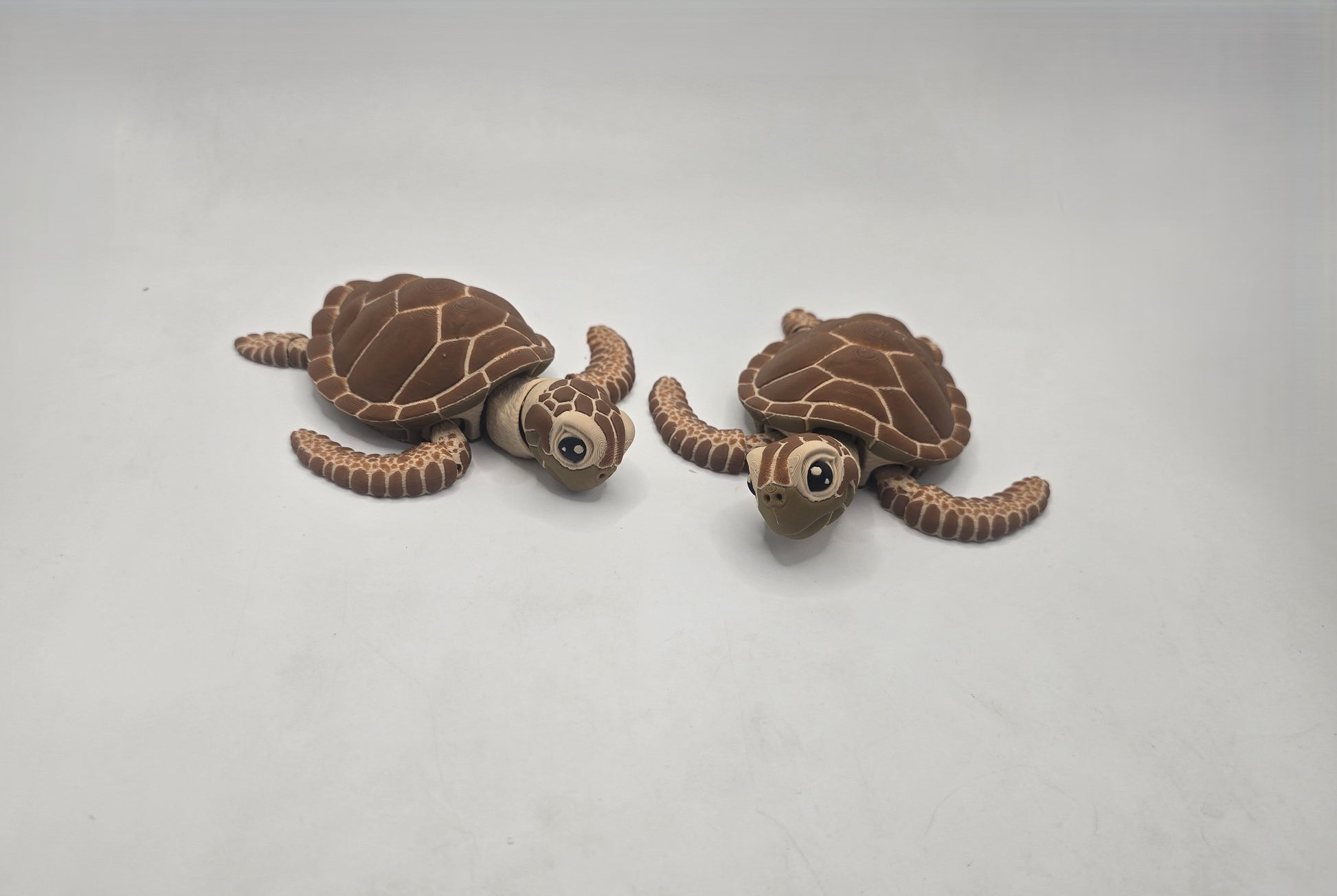 Turtle - No Hands 3d