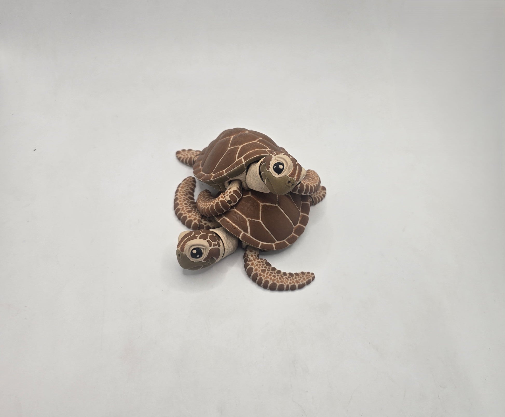 Turtle - No Hands 3d