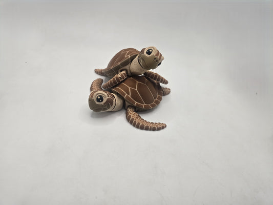 Turtle - No Hands 3d