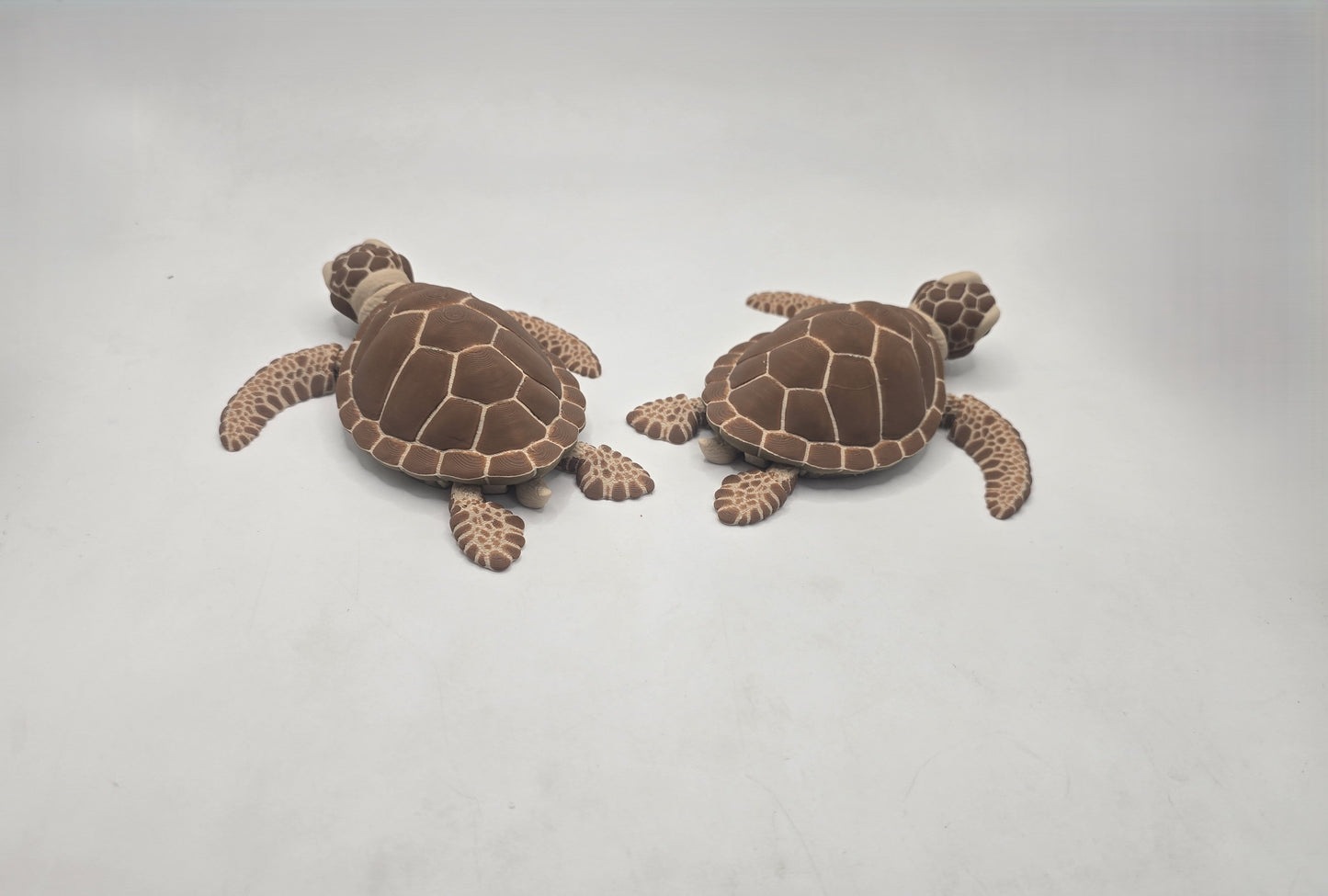 Turtle - No Hands 3d