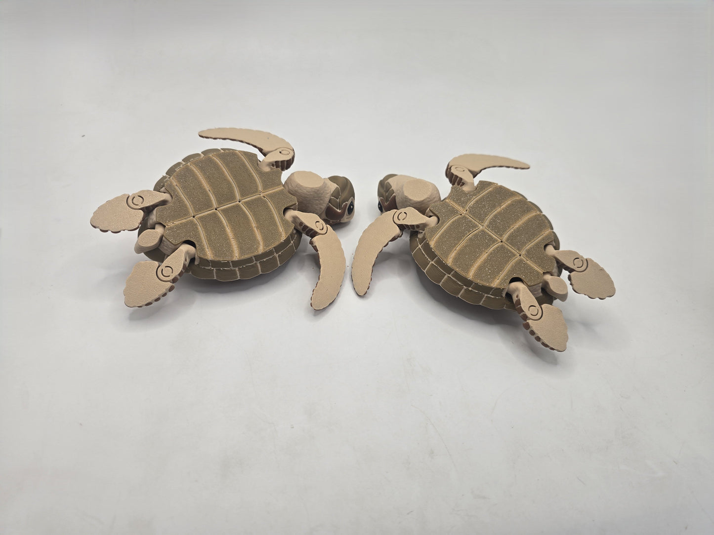 Turtle - No Hands 3d