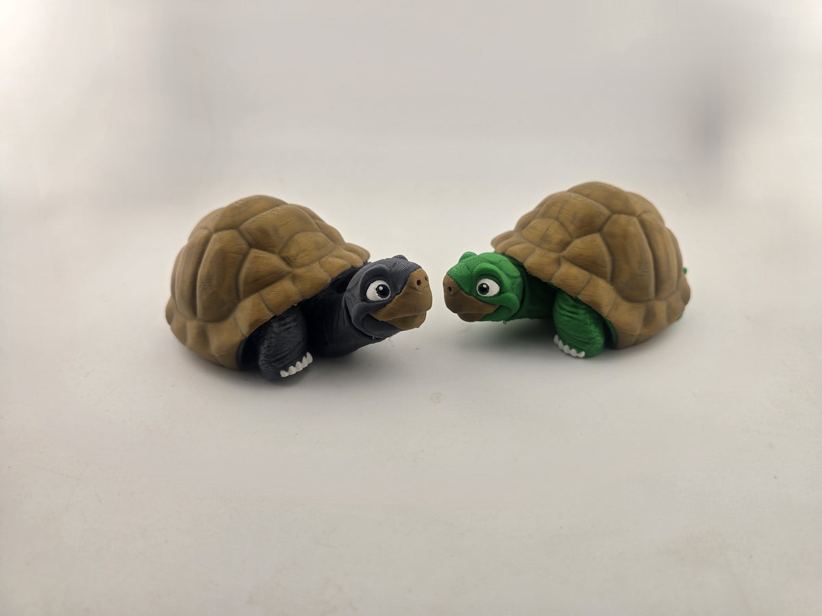 Turtle (Tortoise) - No Hands 3d