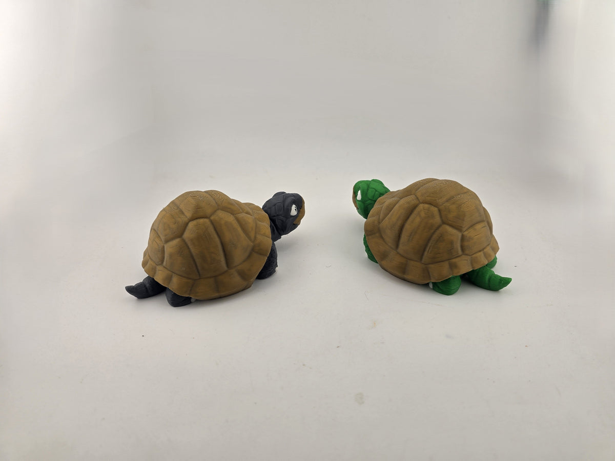 Turtle (Tortoise) - No Hands 3d