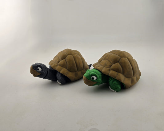 Turtle (Tortoise) - No Hands 3d