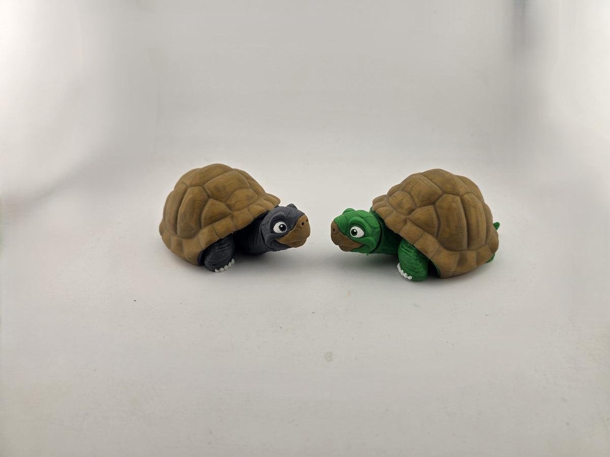 Turtle (Tortoise) - No Hands 3d