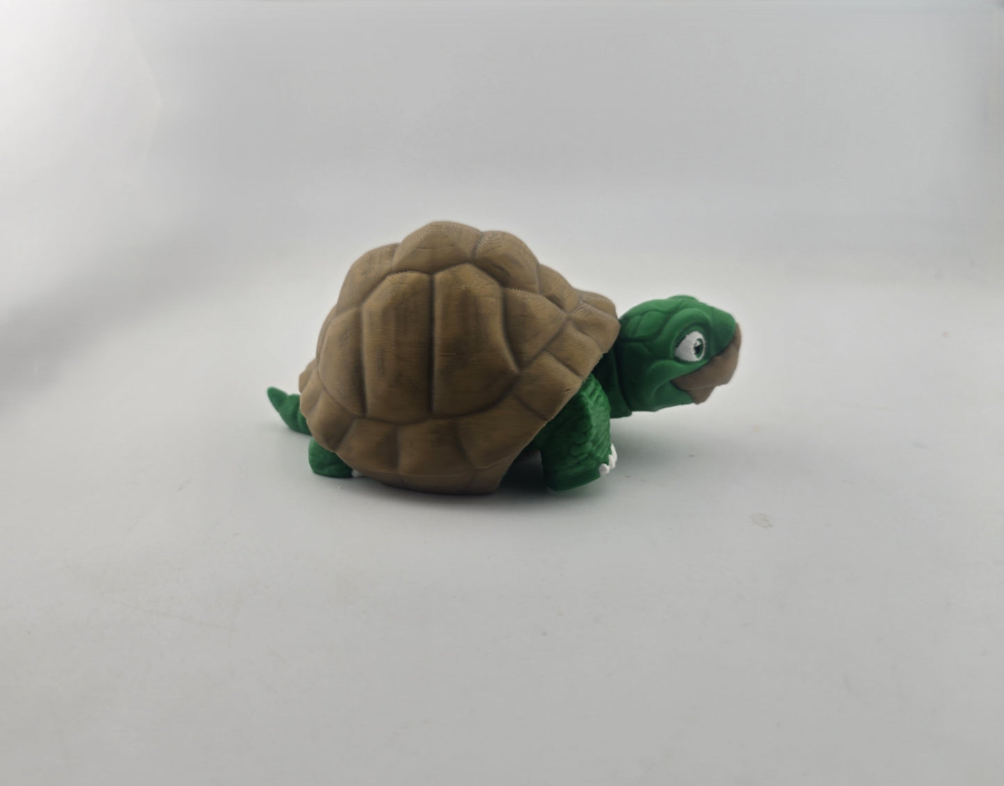 Turtle (Tortoise) - No Hands 3d