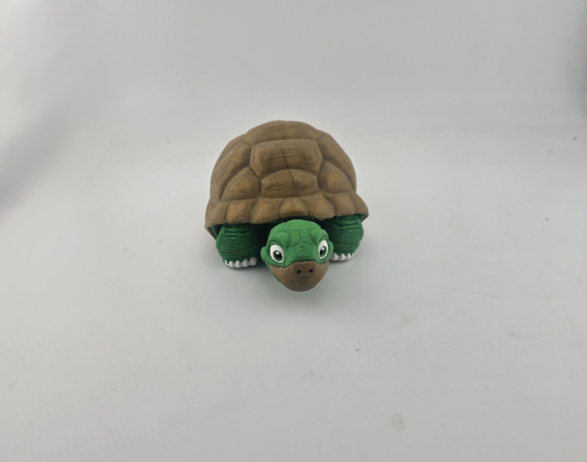 Turtle (Tortoise) - No Hands 3d