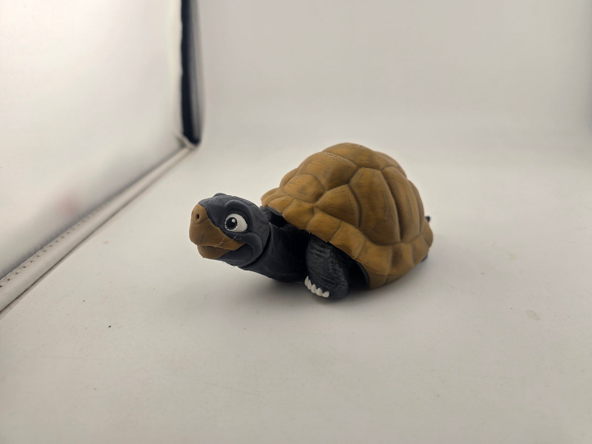 Turtle (Tortoise) - No Hands 3d