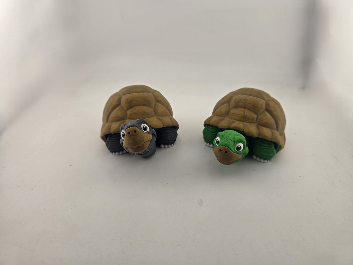 Turtle (Tortoise) - No Hands 3d