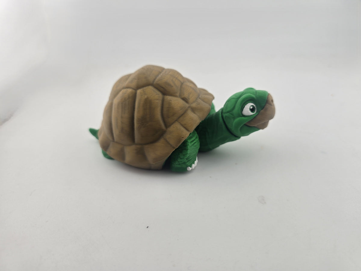 Turtle (Tortoise) - No Hands 3d