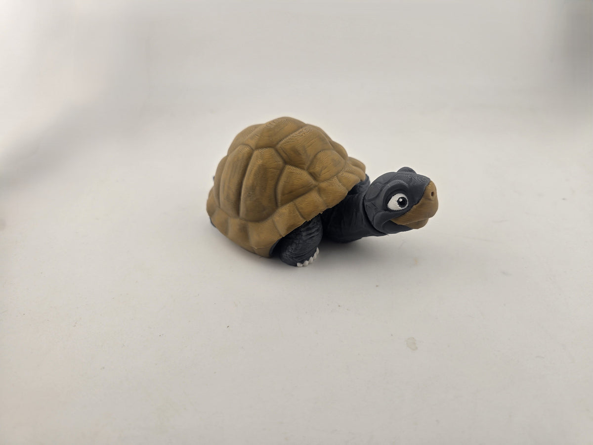 Turtle (Tortoise) - No Hands 3d