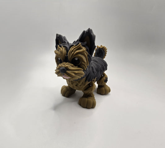 Yorkshire Terrier - No Hands 3d